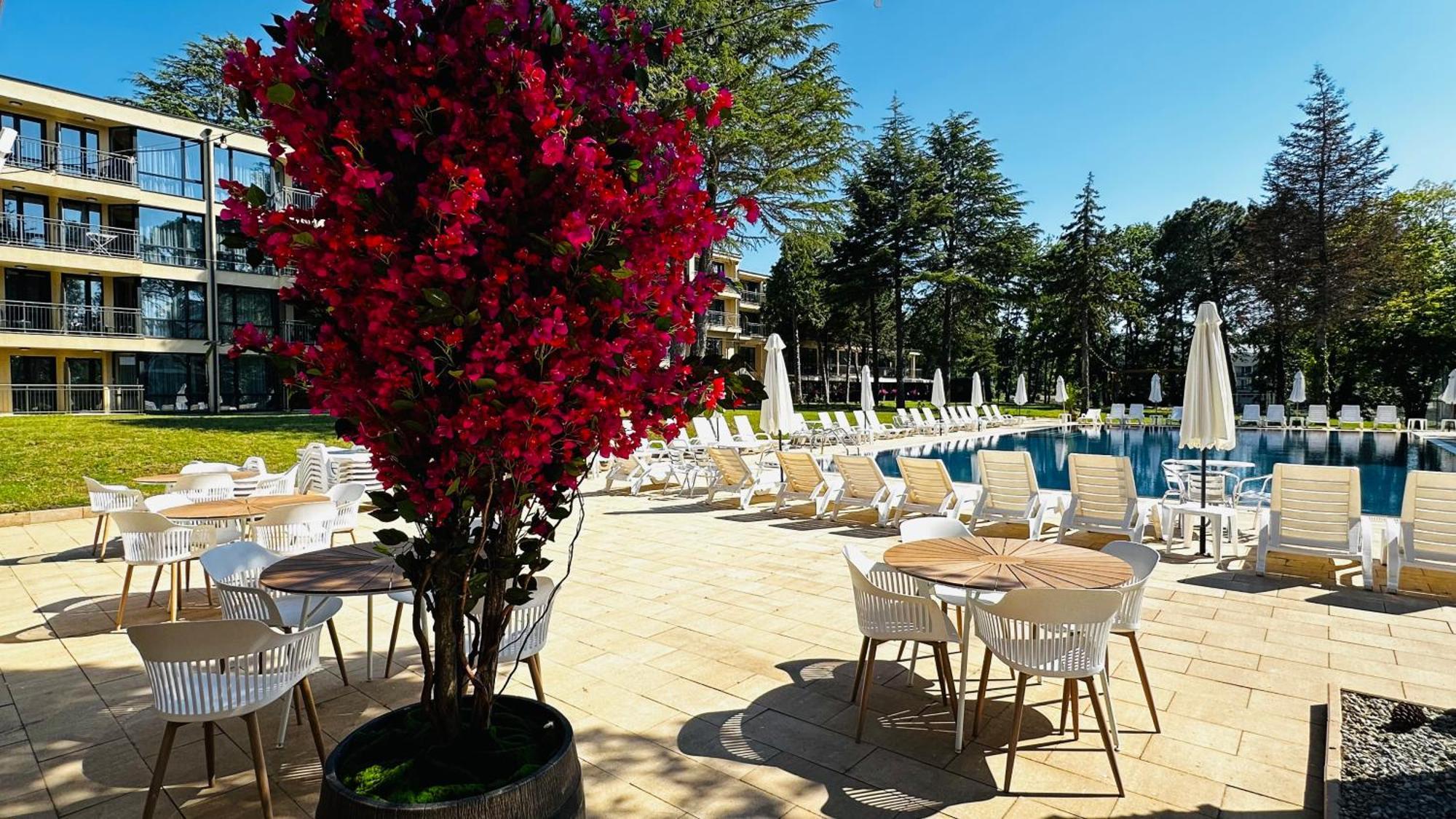 Queen Nelly Park Naousa Dış mekan fotoğraf